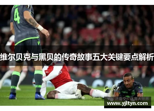 维尔贝克与黑贝的传奇故事五大关键要点解析